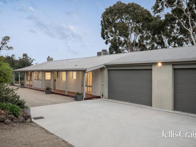 Family Haven with Treetop Views
