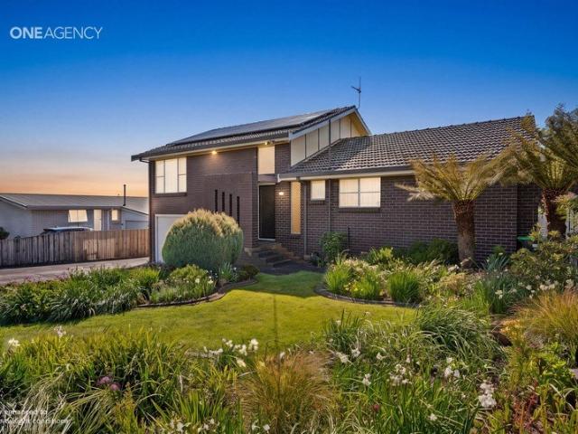 Family Living with a View