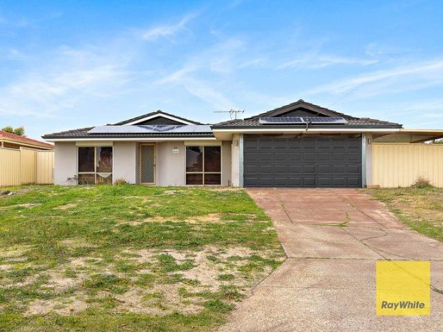 Family Living with Space, Potential & a Huge Backyard