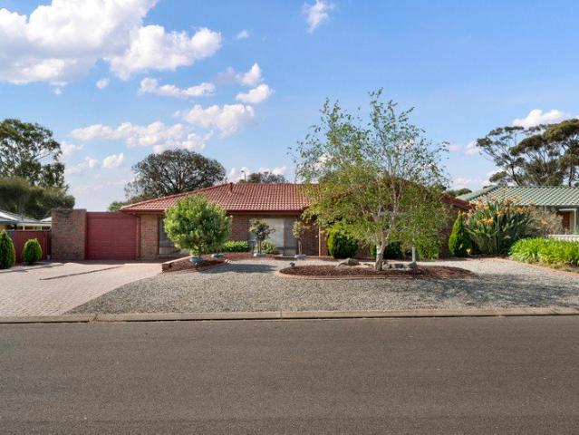 Family Scale, Granny Flat Flexibility & Poolside Lifestyle