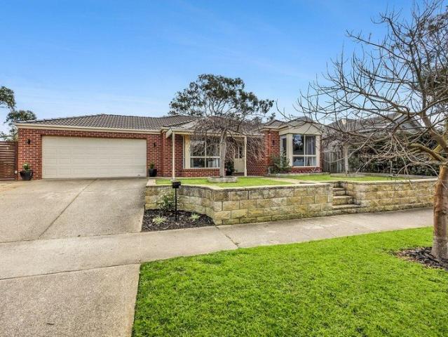 FAMILY SIZED LIVING IN THE HEART OF WOMBAH PARK