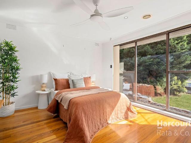 Family Single Level Living!