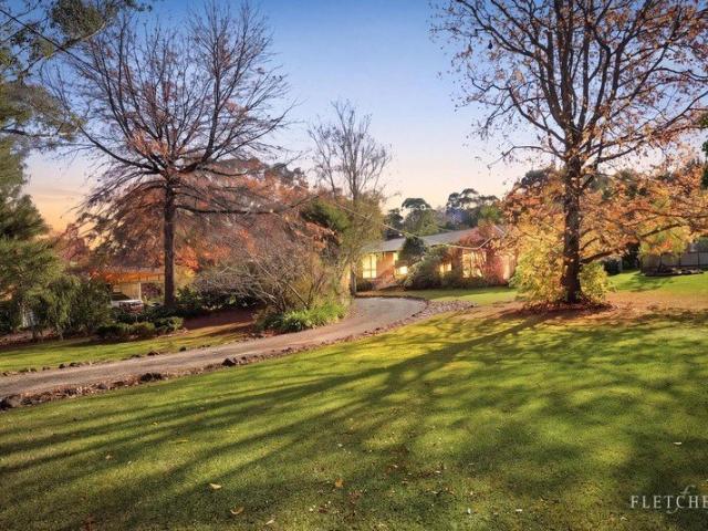 Family Space, Poolside Entertaining and Healesville Surrounds