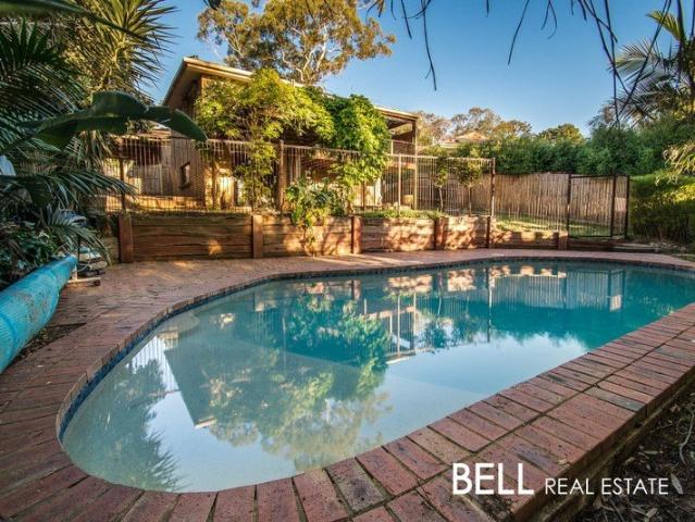 Family space, poolside living and a quiet Boronia setting