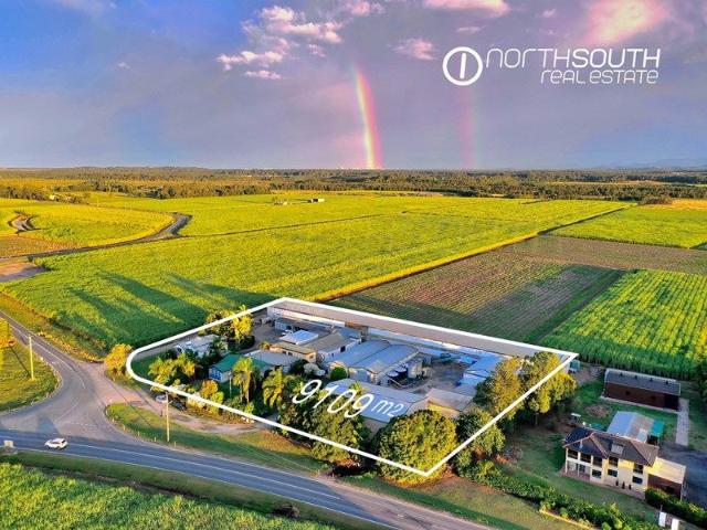 Famous Jacobs Well Egg Farm + 3 Houses = Cashflow + Future Development Potential
