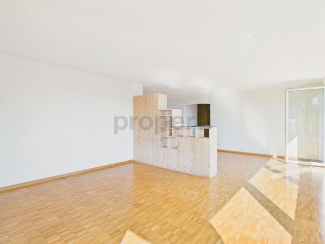 Fantastic 4.5 room apartment in Rebstein, canton SG