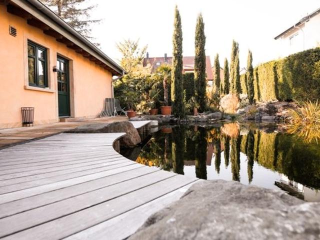 Fantastic, amazing studio in popular area