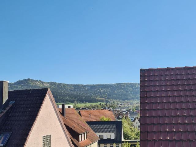 Fantastic and pretty flat in Balingen