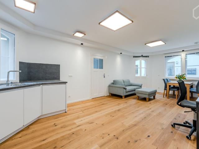 Fantastic apartment in renovated art nouveau villa with park view first occupancy, Berlin Amsterdam Apartments for Rent