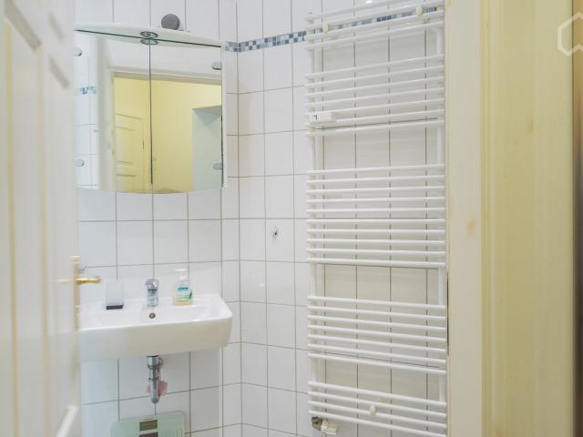 Fantastic great apartment in heart of town with balcony, Berlin Amsterdam Apartments for Rent