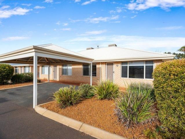 Fantastic Investment In popular Complex