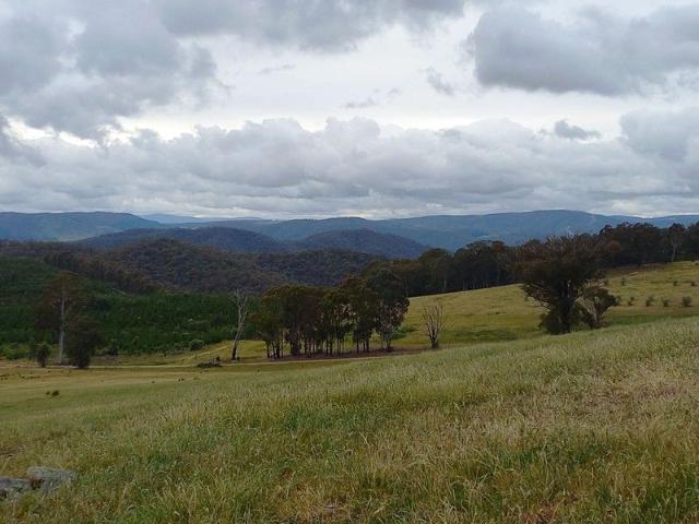 Fantastic small farm/lifestyle block in the Lankeys Creek area.