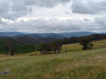 Fantastic small farm/lifestyle block in the Lankeys Creek area.