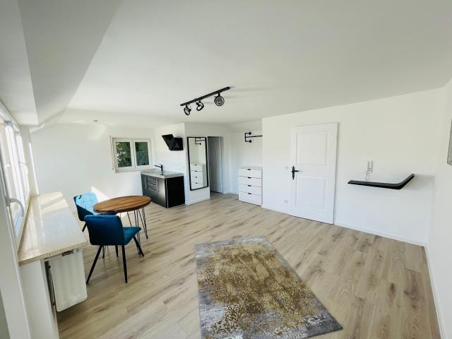 Fantastic studio in Munich with roof terrace