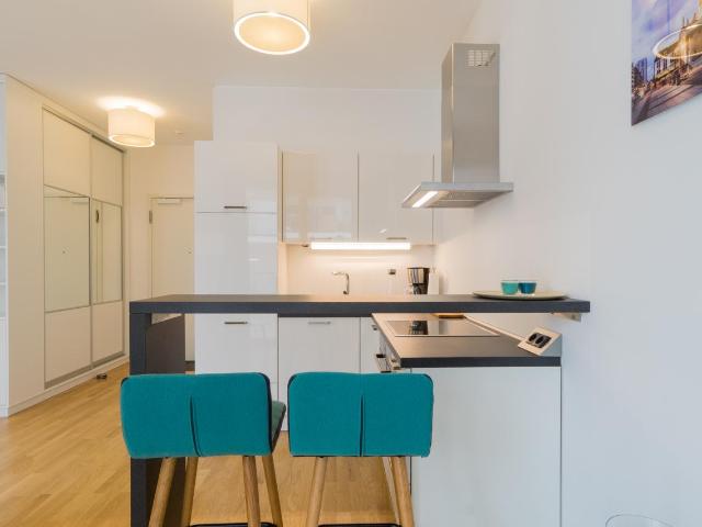 Fantastic studio with balcony in Mitte central but quiet location, Berlin Amsterdam Apartments for Rent