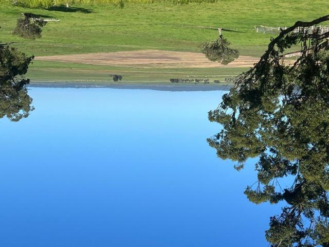 Fantastic rural Views on 4.4 acres!