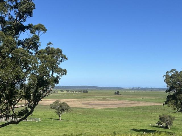 Fantastic rural Views on over 3 acres!