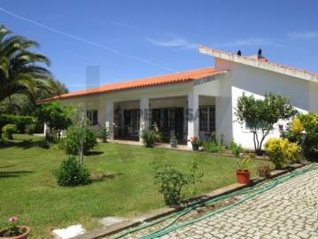 Fantástica Moradia em Chacim, Macedo de Cavaleiros, com Terreno e Olival Produtivo