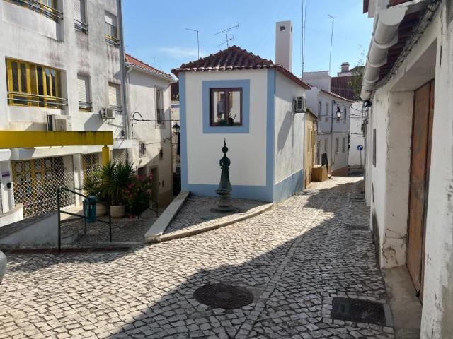 Fantástica Moradia T2+1 em Alcácer do Sal