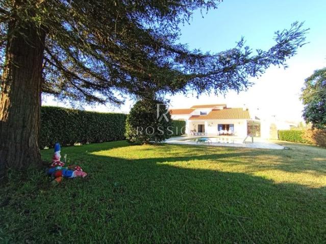 Fantástica moradia T4 em Panoias, piscina e terreno com 3085 m2