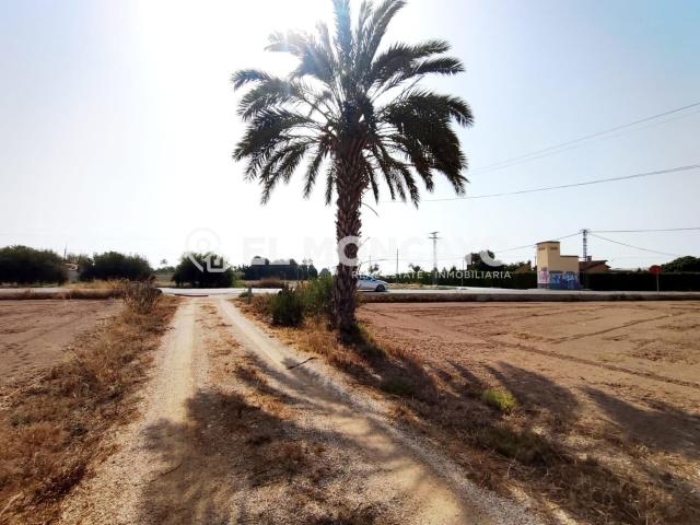 Fantástica casa rural con terreno muy cerca de la ciudad de Elche, Alicante, Costa Blanca