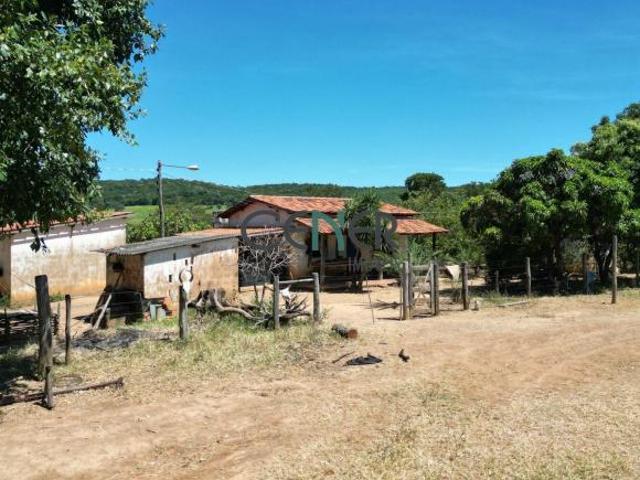 Fantástica fazenda de 1 300 ha na região de Corinto em avaliação