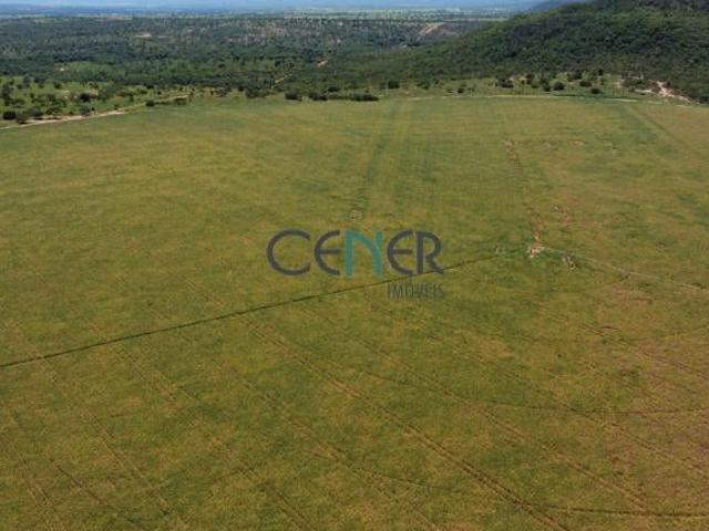 FANTASTICA FAZENDA DE 8.402 HA DUPLA APTIDÃO E COM 5 PIVÔ