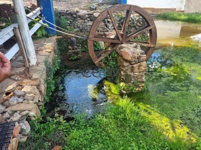 Fantástica fazendinha de 54 ha Rainha das águas em Carmopolis MG