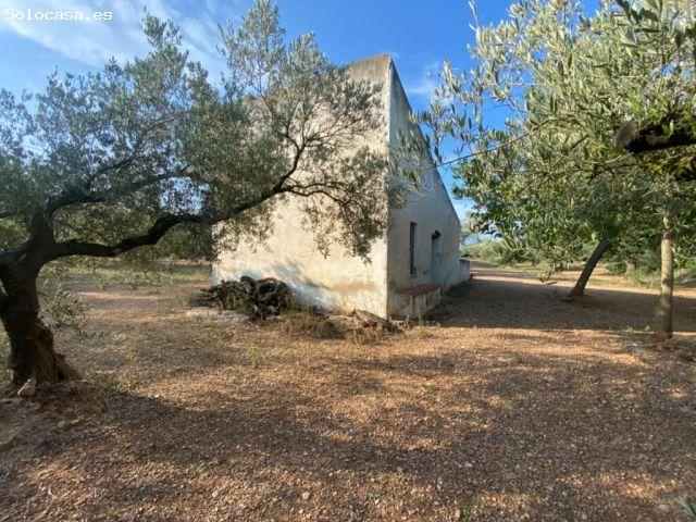 Fantástica finca con casa en la Miliana