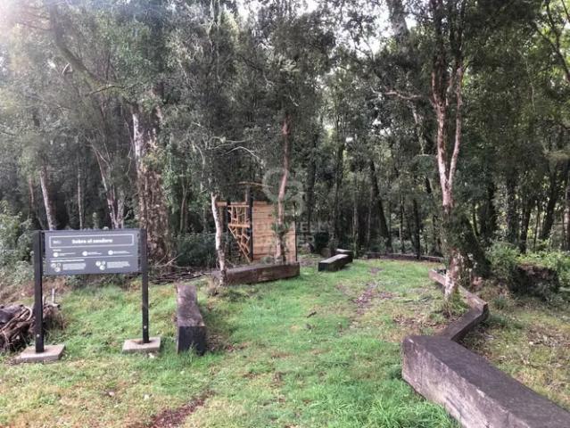 Fantástica parcela con bosque, pradera en lindo condominio | 0 dormitorios por 3100.00 en Puerto Varas