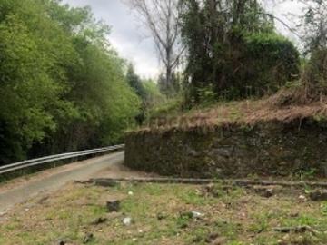 Fantástica Propriedade p/ Cultivo c/ Moradias Proxima do Rio Sousa