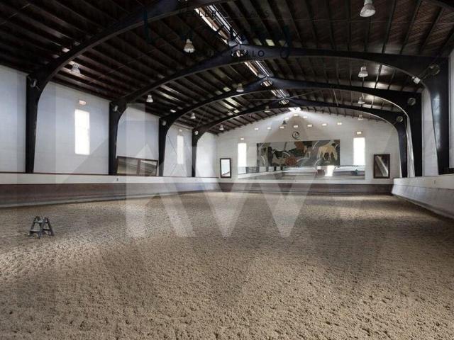 Fantástica Quinta a 15 minutos de Lisboa 2000m² Rio De Mouro