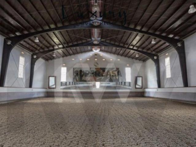 Fantástica Quinta a 15 minutos de Lisboa