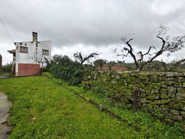 Fantástica quinta Ideal para quem compra casa pela primeira vez 96.500 euros