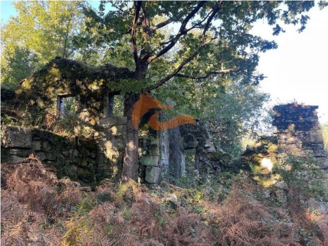 Fantástica quinta situada entre a histórica vila de Avô e a. 100m² Avô