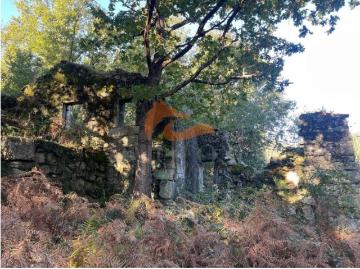 Fantástica quinta situada entre a histórica vila de Avô e a Ponte das Três Entradas