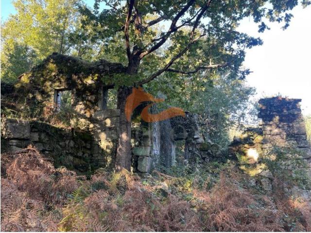 Fantástica quinta situada entre a histórica vila de Avô e a Ponte das Três Entradas
