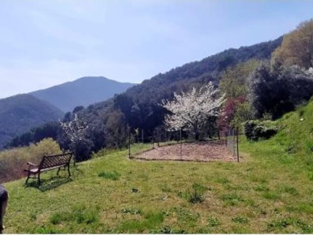 FANTASTICA y PARTICULAR MASIA EN VENTA EN AMER VISTAS PANORÁMICAS 10.000 m2