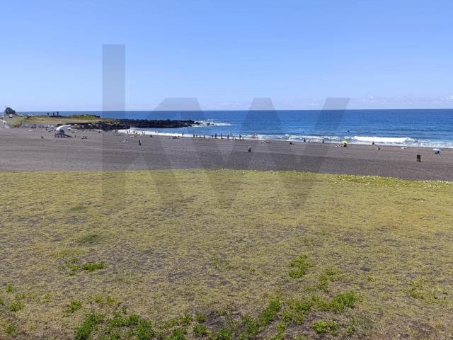 Fantástico Apartamento T2 Junto à Praia das Milícias