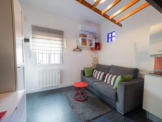 Fantástico estudio en alquiler en Lavapiés, Madrid