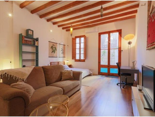 Fantastico loft con terraza Cerca del Palau de la Musica