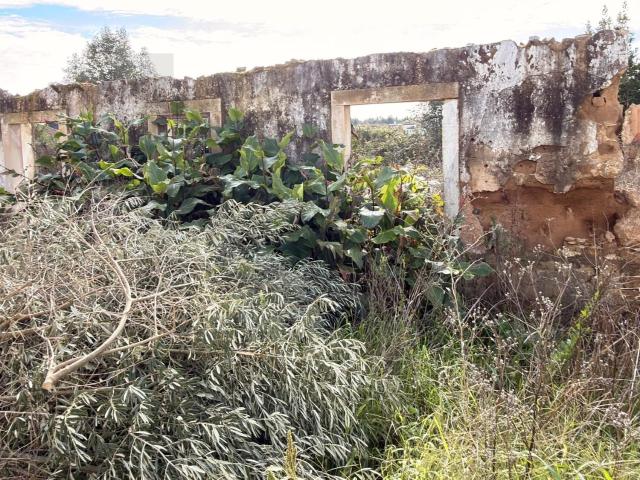 Fantastico Terreno em Póvoas Rio Maior