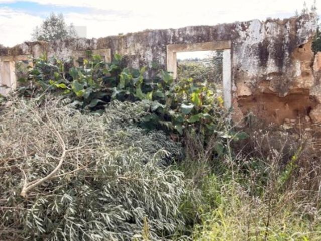 Fantastico Terreno em Póvoas Rio Maior