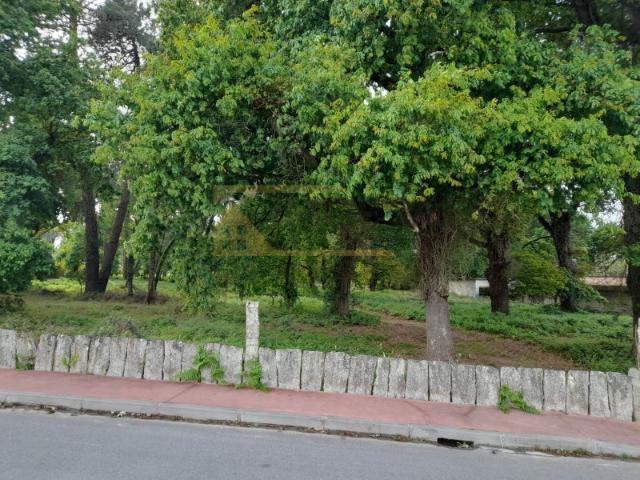 Fantástico Terreno junto á vila de Monção 7.800 m2