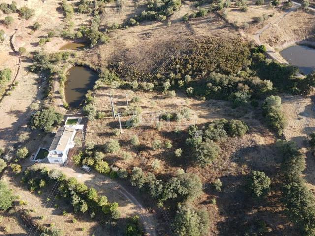 Fantástico Terreno Rústico em Cerro Pelado, Amorosa c/ 6.280m2