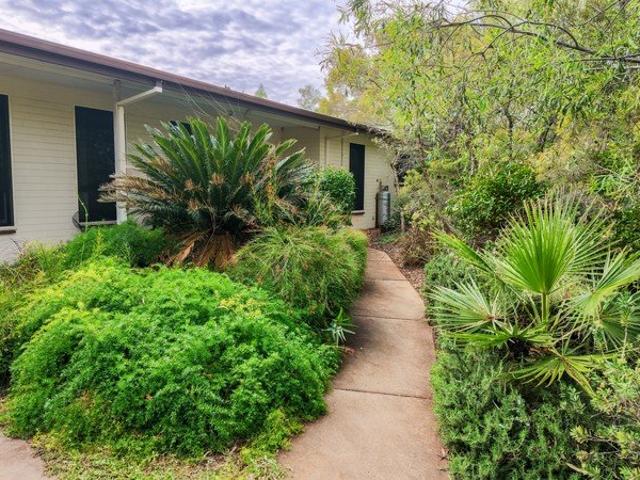 Fabulous Family Wanted for Bougainvilia