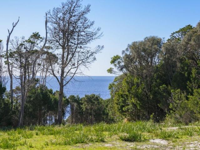 Fabulous Foreshore & Future