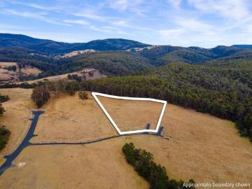 Fabulous Lifestyle Block Just Minutes From The Coast