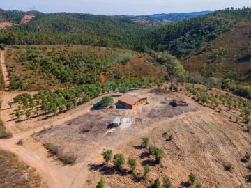 Fabulosa propriedade rural perto de Santa Clara a Velha 1750m² Saboia