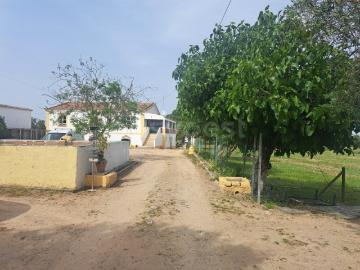 Fabulosa Quinta a 3 minutos da Cidade de Beja com área Privativa de 324 m2 e uma área Toral de 2, 8155 ha